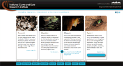 Desktop Screenshot of nckri.org