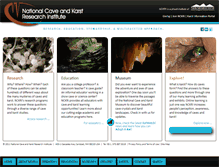 Tablet Screenshot of nckri.org